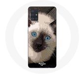 Coque Samsung Galaxy A51 Chat Siamois Noir et blanc aux Yeux Bleus