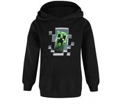Minecraft Boys Inside Creeper sudadera con capucha 3-4 Years negro