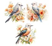 C97#Pegatinas de pared de pájaros de acuarela para habitación infantil, decoración del hogar, mural para sala de estar, calcomanías divertidas B-29.5x30cm-PET