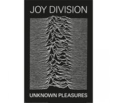 Placeres desconocidos de Joy Division Póster 91.5cm x negro/blanco