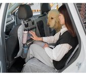 Funda para asiento de coche para perros, tapete impermeable para asiento trasero, tapete para perro extraíble, diseño multifuncional gris