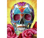 Pintura de diamante 5D DIY  calavera colorida  bordado de diamantes de imitación 3D punto de cruz 5D regalo de decoración del hogar 20X30CM