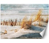Fondo de pantalla Dunas de playa sobre la madera 100x70 beige