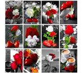 Kits de arte de diamantes, pintura de diamantes de rosas rojas y negras, bordado, imágenes de flores, decoración de mosaico de diamantes de imitación para el hogar Full Round 20X30CM rojo