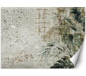 Fondo de pantalla Hormigón Loro Pájaro Monstera Hojas Verde 100x70 gris