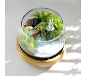 Kit de terrario de musgo hecho a mano con figura en miniatura de musgo fabricado en Japón [GRACE HOME] Nutria, jardín, incluido,