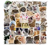 50 unids/set gato pegatinas de animales divertidos juguete Vintage DIY cuaderno para niños equipaje motocicleta portátil refrigerador calcomanías Graffit 50Pcs/Set varios colores