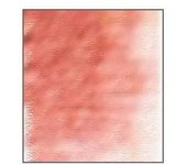 Derwent teintées charbon Pencil Sunset Pink (TC03)