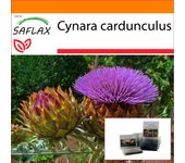SAFLAX - Garden in the Bag - Cardo / Alcachofa española - 50 semillas - Con sustrato en una bolsa de pie adecuada - Cynara cardunculus