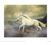 Lisa Saint Race La Tormenta Póster 40cm x marrón/blanco