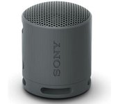 Altavoz Con Bluetooth Sony Xb100 Negro