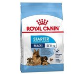 Royal Canin Maxi Starter 15 Kg