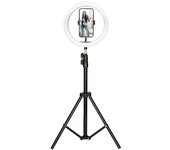 Ksix KIT STUDIO LIVE MAX ARO DE LUZ CON TRÍPODE SUELO 1,60 M PARA SMARTPHONE