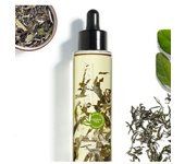 Teaology Bancha Oil 100 ml