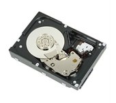 DELL WTJVY disco duro interno 3.5" 2 TB NL-SAS
