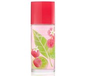 Elizabeth arden green tea lychee lime eau de toi tester 100ml vaporizador