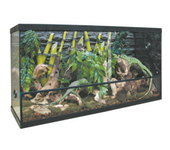 KIT para Terrario Repti Selva Cristal 100 L: Entorno Ideal y Completo para Reptiles - CPA