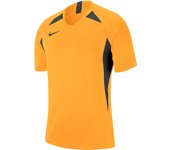 Camiseta Nike Dri-FIT Striker V