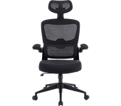 Silla gaming - Woxter Ergo GM26-107, 2D (Reposabrazos Abatibles, se mueve arriba y abajo), Carga máxima 120 kg, Negro