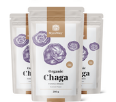 MycoWay® 3x BIO Chaga en polvo, en total 600 g
