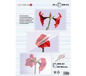 Olympia 1x25 DIN A3 80 micron plastificador 25 pieza(s)