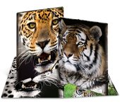 HERMA 7142 carpeta Polipropileno (PP) Multicolor A3