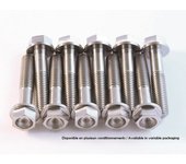 SCAR Kit de tornillo de titanio M8x30 por 4 + M8x35 por unidad -