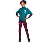 Nike - Chándal PSG Training 2024-2025 Niño, Unisex, Geode Teal-Bordeaux-Guava Ice, M