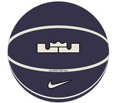 Pelota de baloncesto nike playground 2.0 8p james deflated purbla