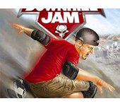 TONY HAWKS DOWNHILL JAM WII