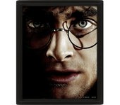 Pyramid Póster 3D Harry Potter Harry/Voldemort