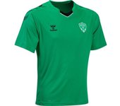 Camiseta de entrenamiento para niños ASSE 2022/23