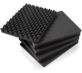 B&W International SI/3000 - Espuma precortada para Outdoor Case Typ 3000