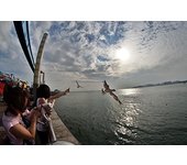 Samyang F1220306101 - Objetivo fotográfico CSC-Mirrorless para Sony E (distancia focal fija 8mm, apertura f/2.8-22 II UMC, Ojo de pez), negro