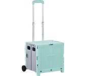 Homcom Carrito de Compras Plegable con 2 Ruedas Mango Ajustable 32L Ligero y Compacto para Compras Verde 41,5x32,5x85cm   Aosom España