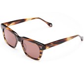 Gafas De Sol Scalpers Trastevere 02 Havana A Rayas