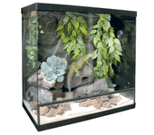 Terrario para Reptiles ICA Repti Selva Cristal 75L