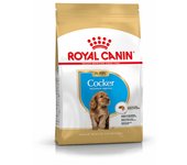 3 KG Royal Canin Puppy Cocker pienso para perros
