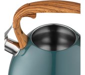Hervidor de acero inoxidable (2,5 l) hervidor de gas | apto para té y café | color: verde