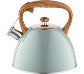 Hervidor de acero inoxidable (2,5 l) hervidor de gas | apto para té y café | color: verde