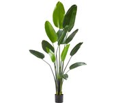 Tectake árbol de ave del paraíso artificial tropic, aspecto realista