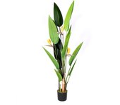 Ave del paraiso flor 185 cm