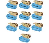 Vidaxl correas de sujeción de trinquete 10 uds azul 0,8 t 4 m x 25 mm
