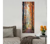 Pintura decorativa lienzo dky114035173_3080 multicolor 30x80 cm