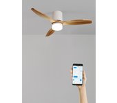 Wind calm line - ventilador de techo 40w silencioso ø132 cm 100% madera con wifi y mando a distancia
