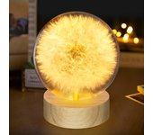 Paquete de 2 luces led nocturnas usb con forma de diente de león y bola de cristal, lámpara decorativa para dormitorio infantil