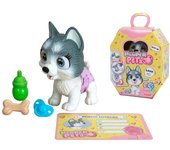 Husky simba 105950135 mima petz