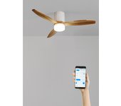 Wind calm line - ventilador de techo 40w silencioso ø132 cm 100% madera con wifi y mando a distancia