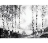Papier peint noir et blanc foret intissé panoramique 400x280 cm - colle inclus - xxl moderne papier peint pour chambre salon