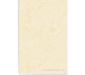 Livingwalls carta da parati beige giallo – giungla 395602 – carta da parati in tessuto non tessuto di alta qualità floreale con effetto metallizz